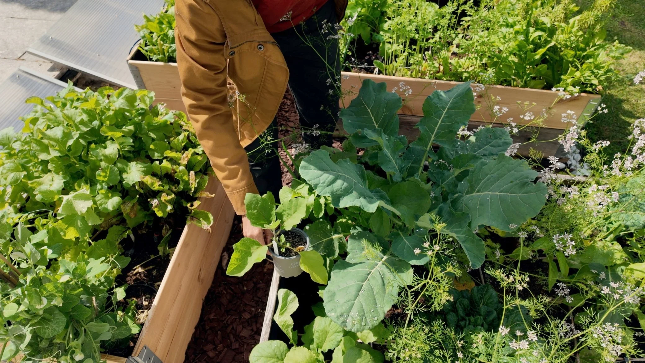 Small space garden in Stuttgart