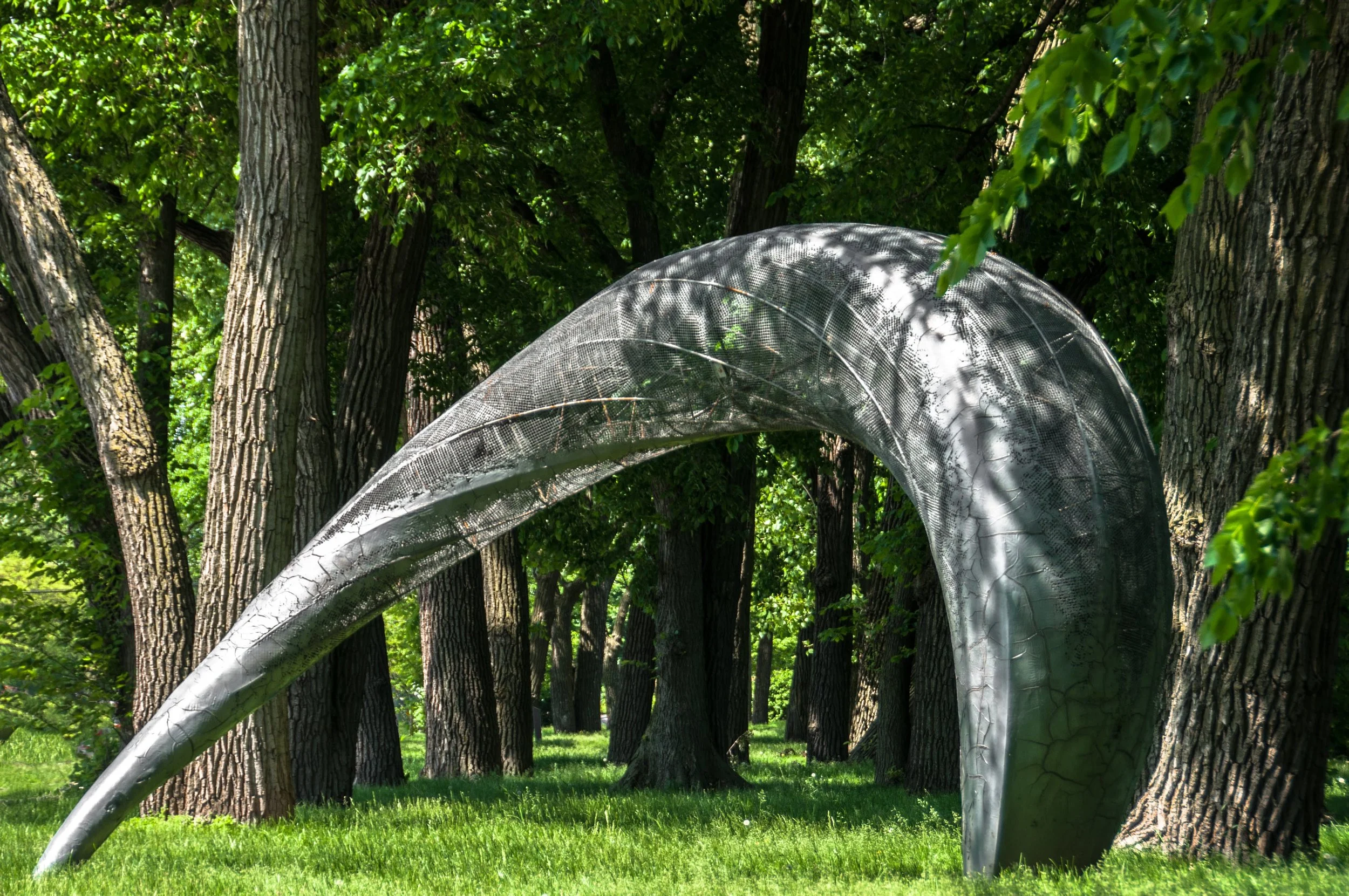 A curved metal mesh sculpture arching over a lawn among tall shade trees in the Skokie Northshore Sculpture Park