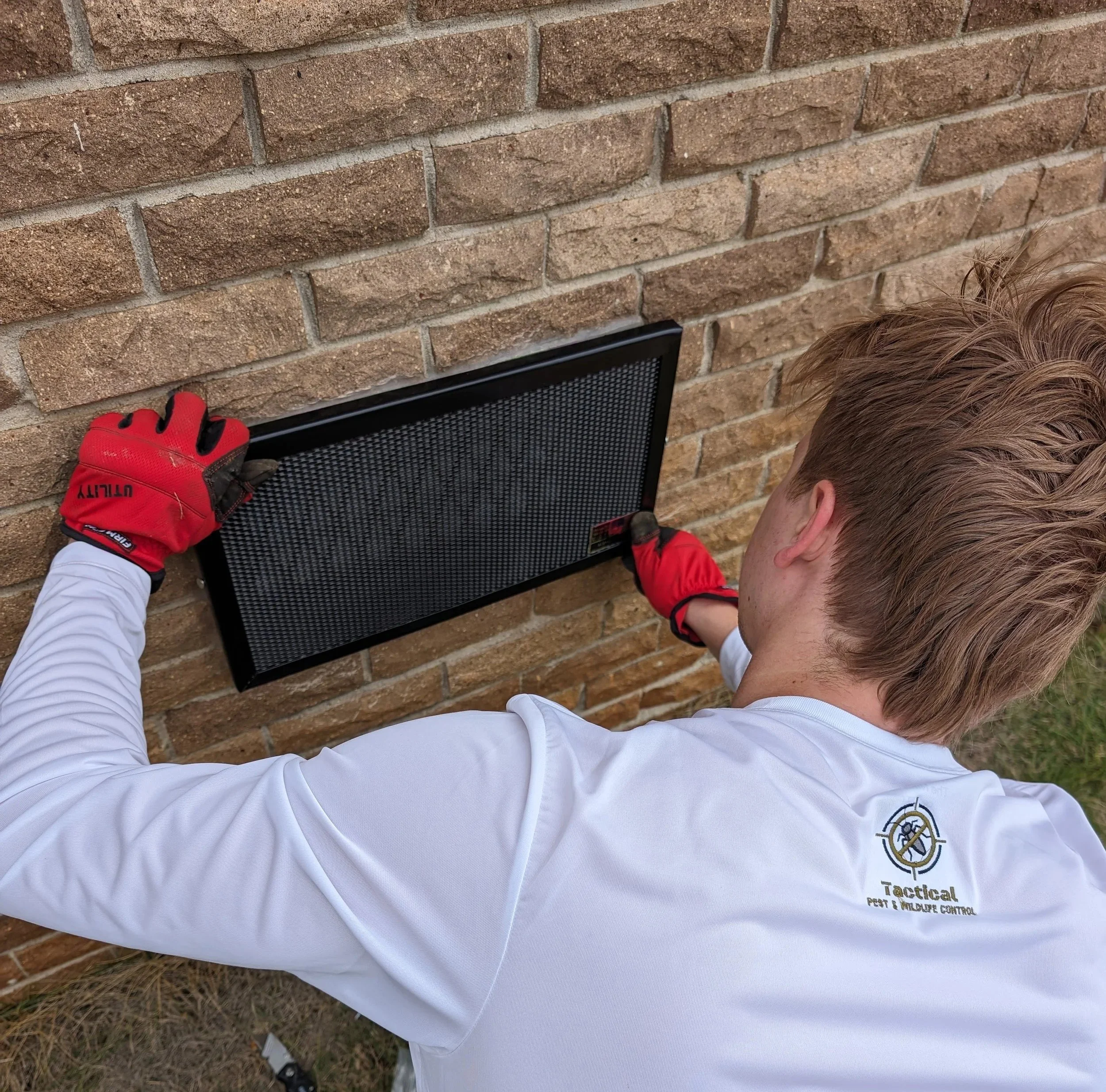 Wildlife removal and solutions