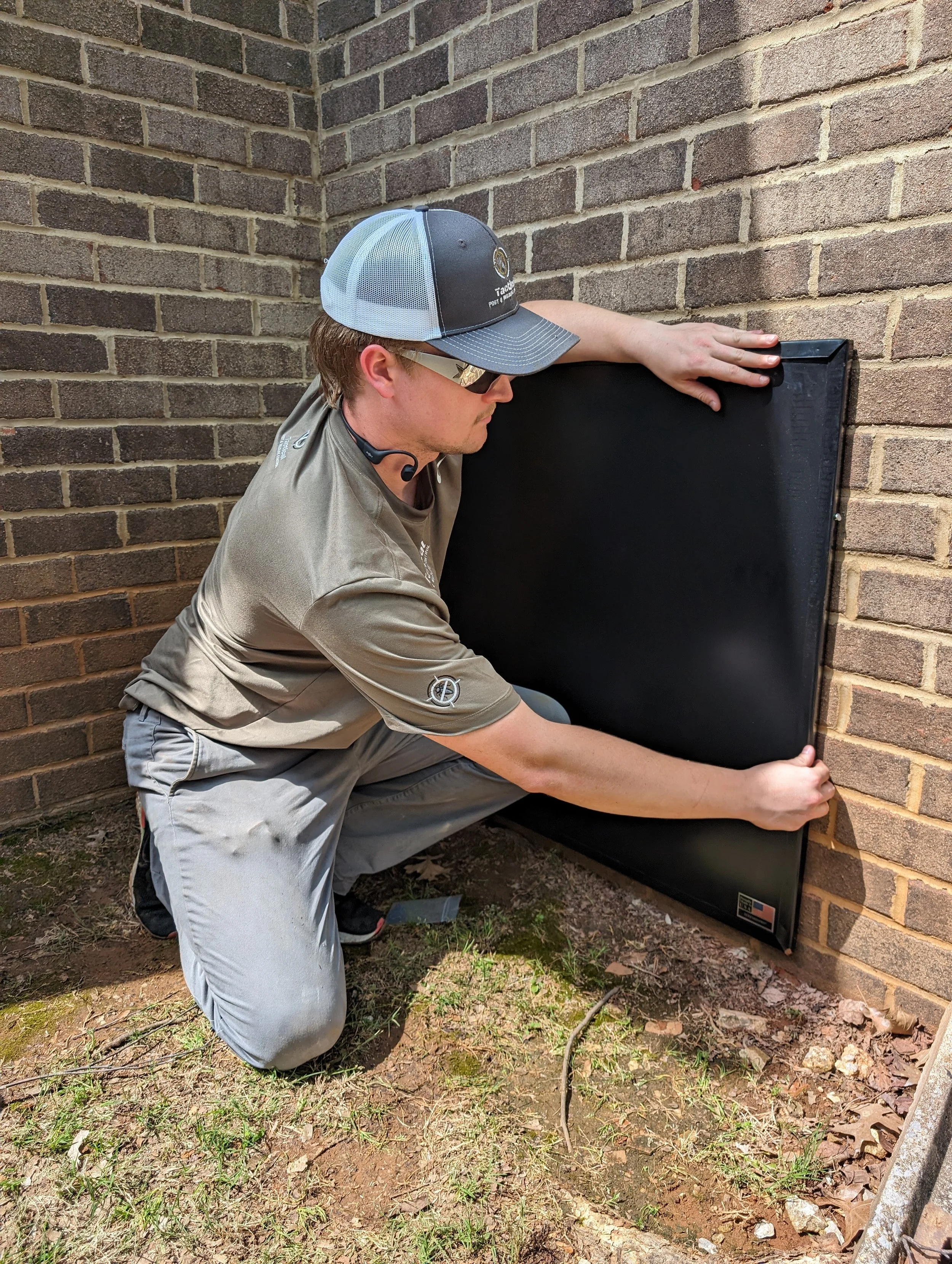 Crawlspace door