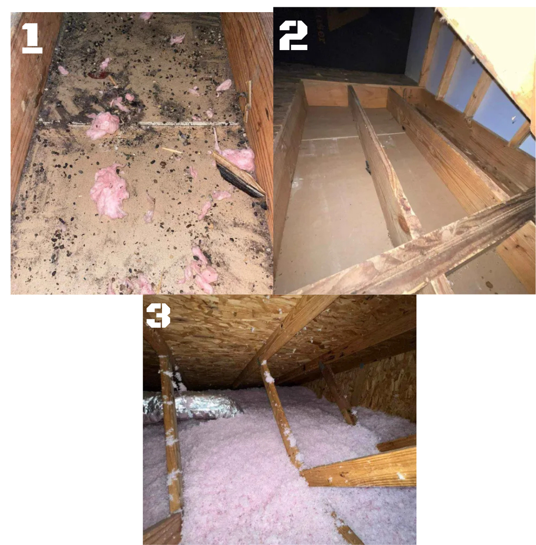 Attic disinfection