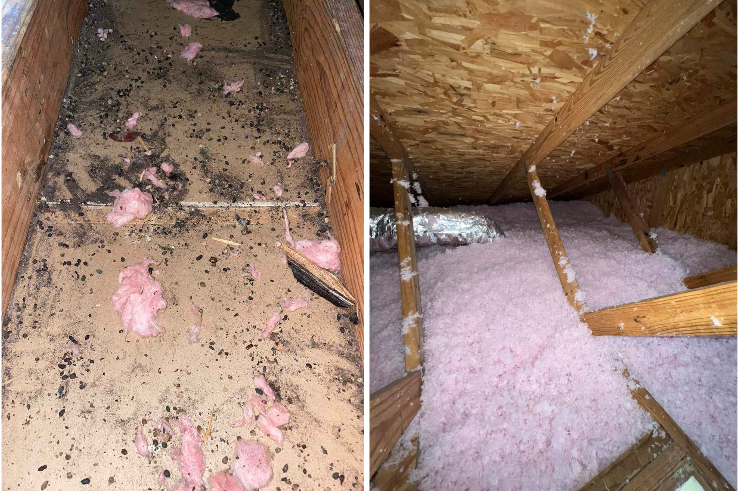 Insulation removal and blow-in