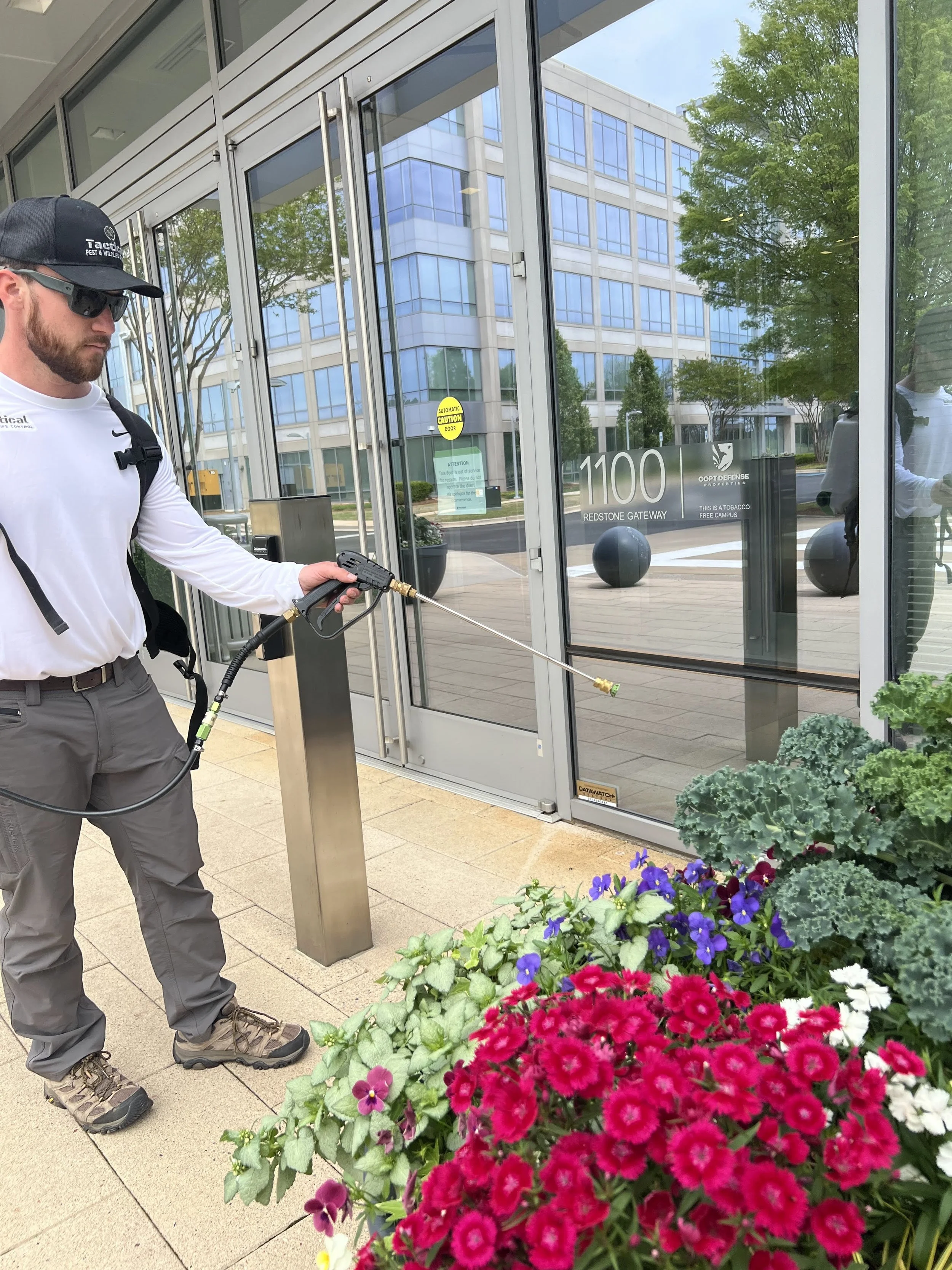 General pest control