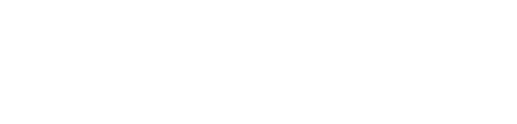 ValleyLogic.AI