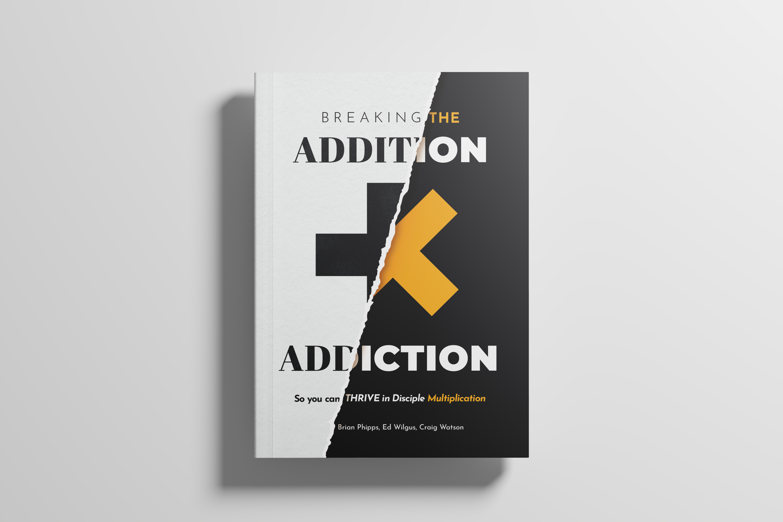 Breaking the Addition Addiction book cover