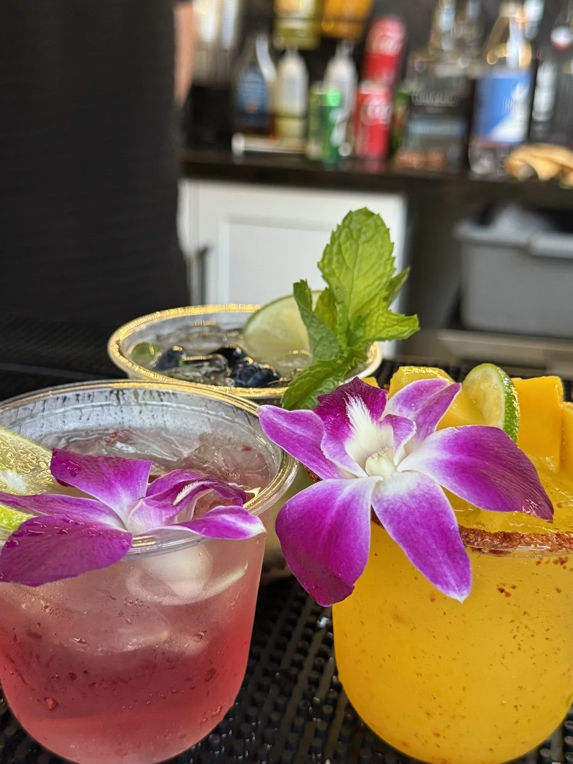 Three signature cocktails garnished with orchids, mint, blueberries, and citrus