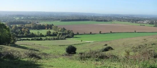 A field at Thurnham