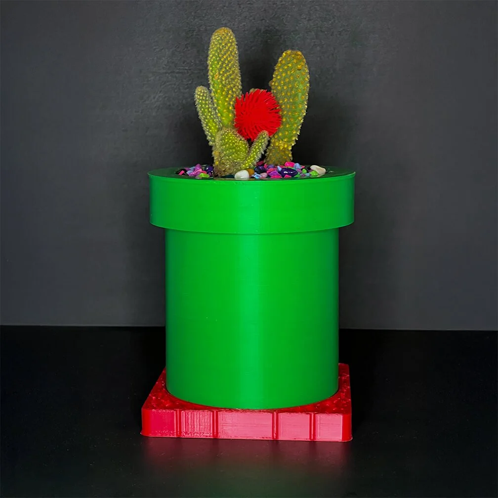 Prickly Paradise — 3D planter