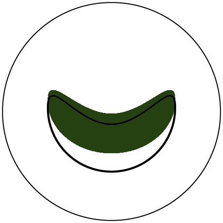 Nonprofits