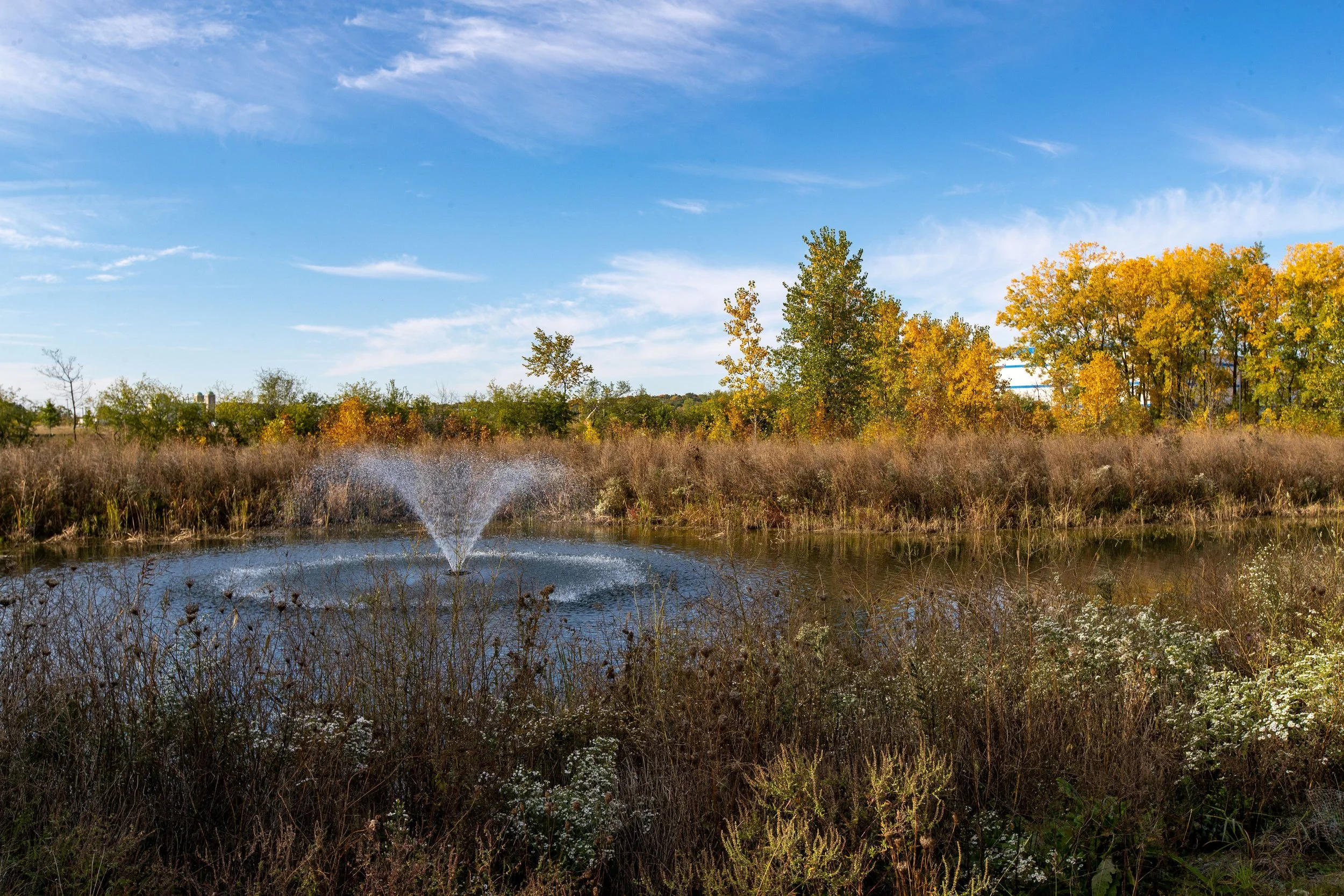 HUB13 pond