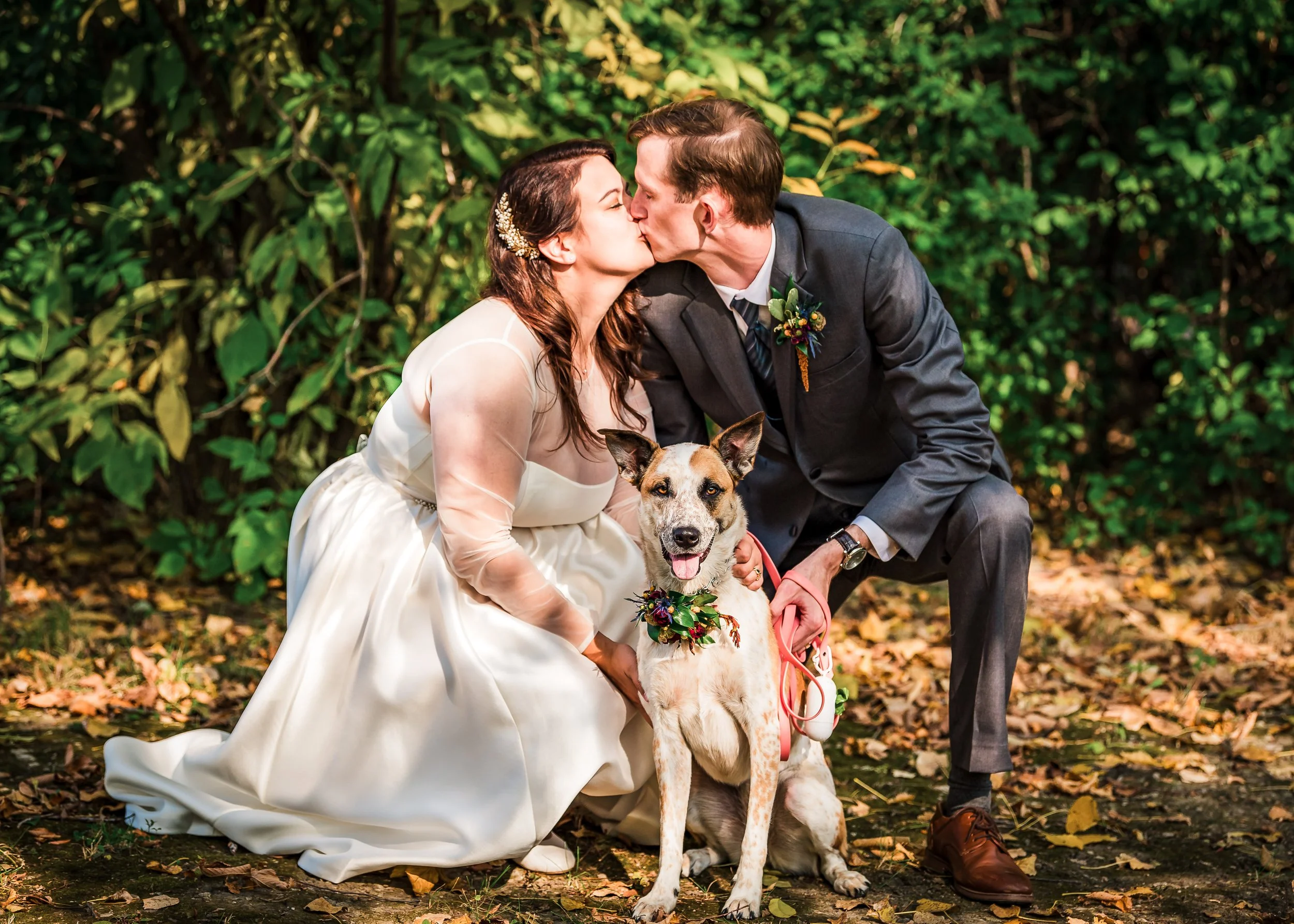 Natural landscape texture, Hill Country vibe