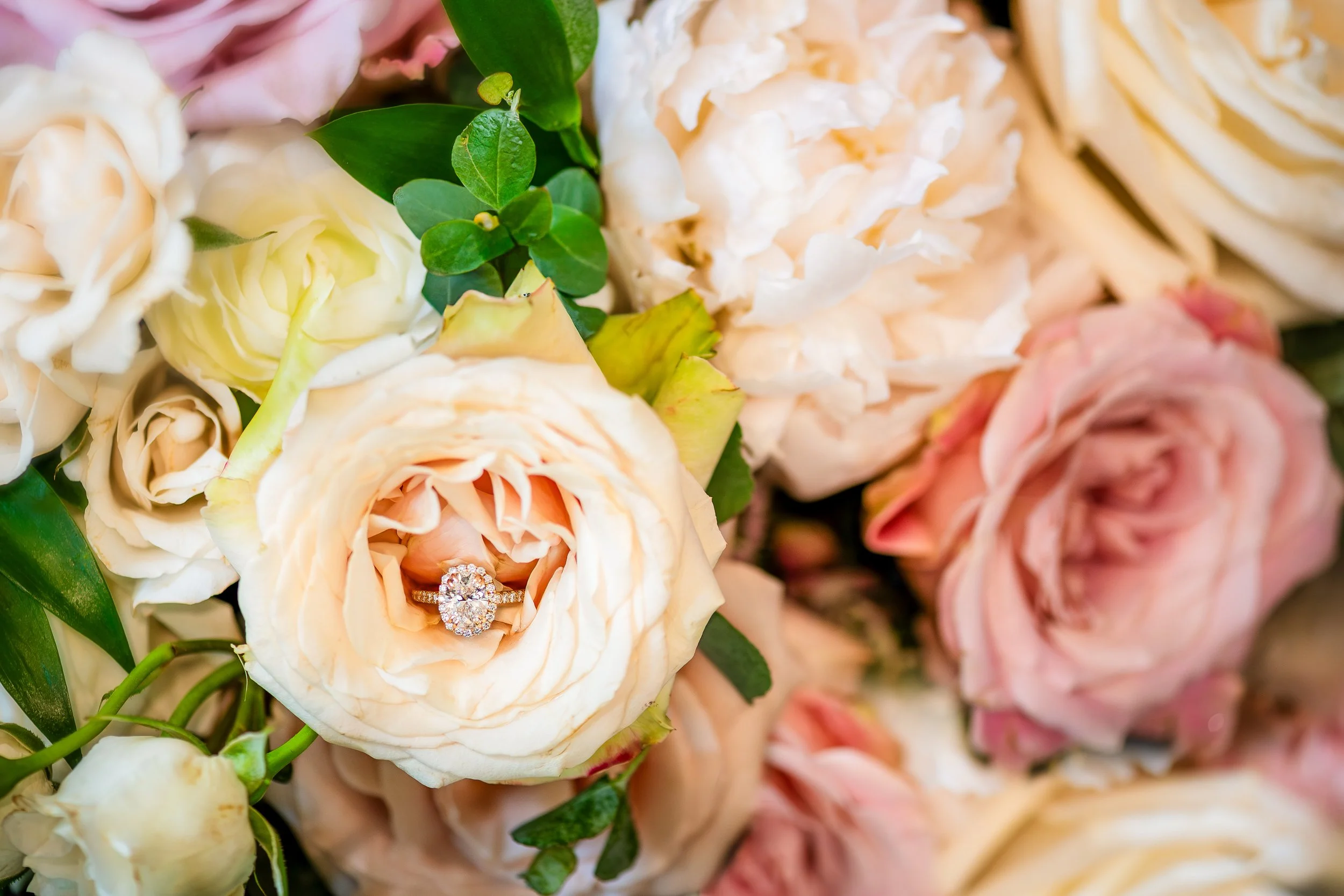 Natural landscape texture, Hill Country vibe