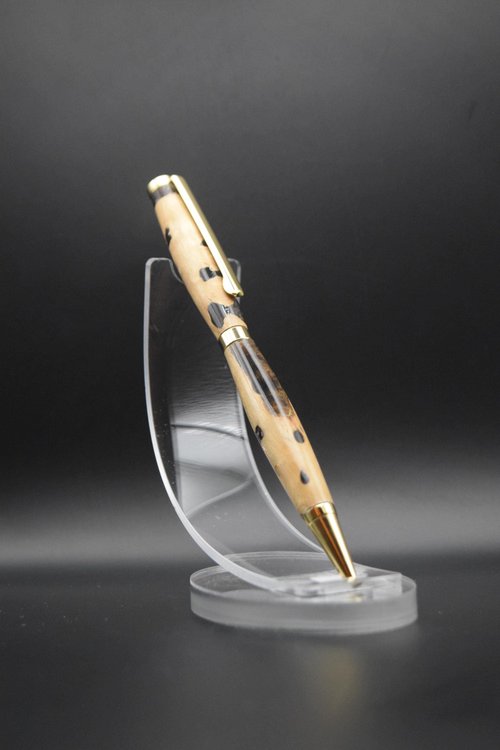 Cholla Wood Hybrid Pen