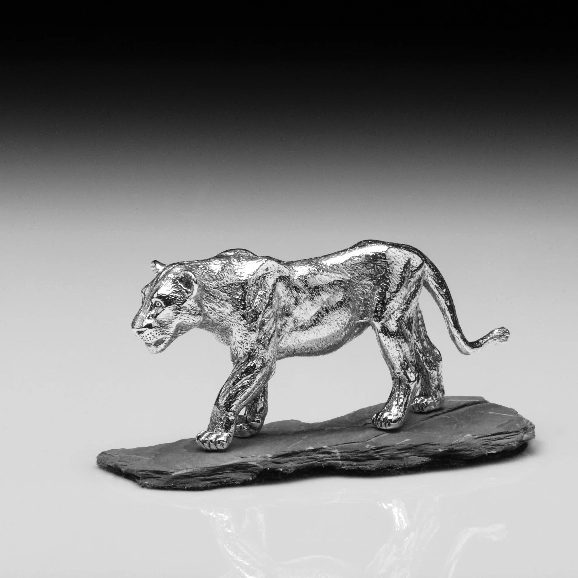 Lioness