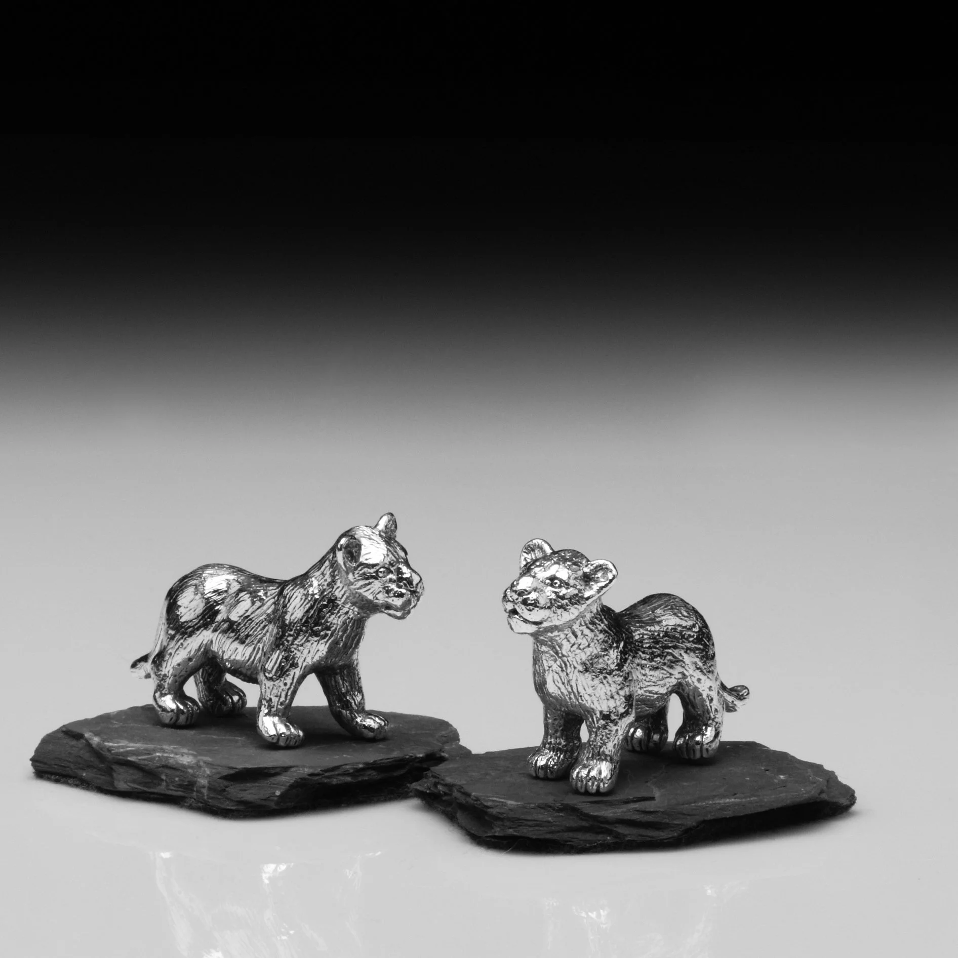 Lion Cubs