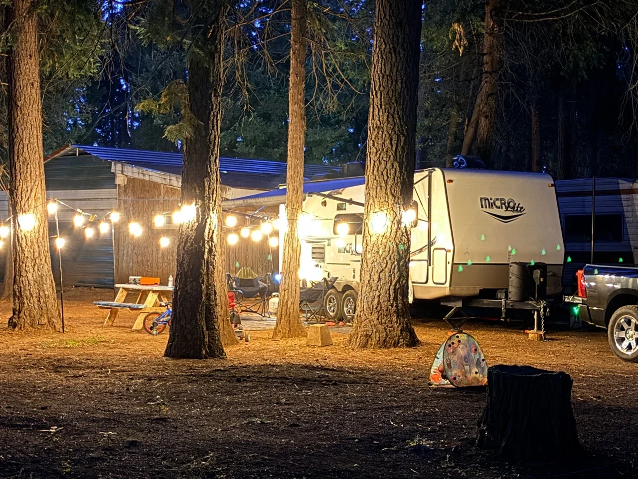 An established extended-stay RV campsite beneath the trees
