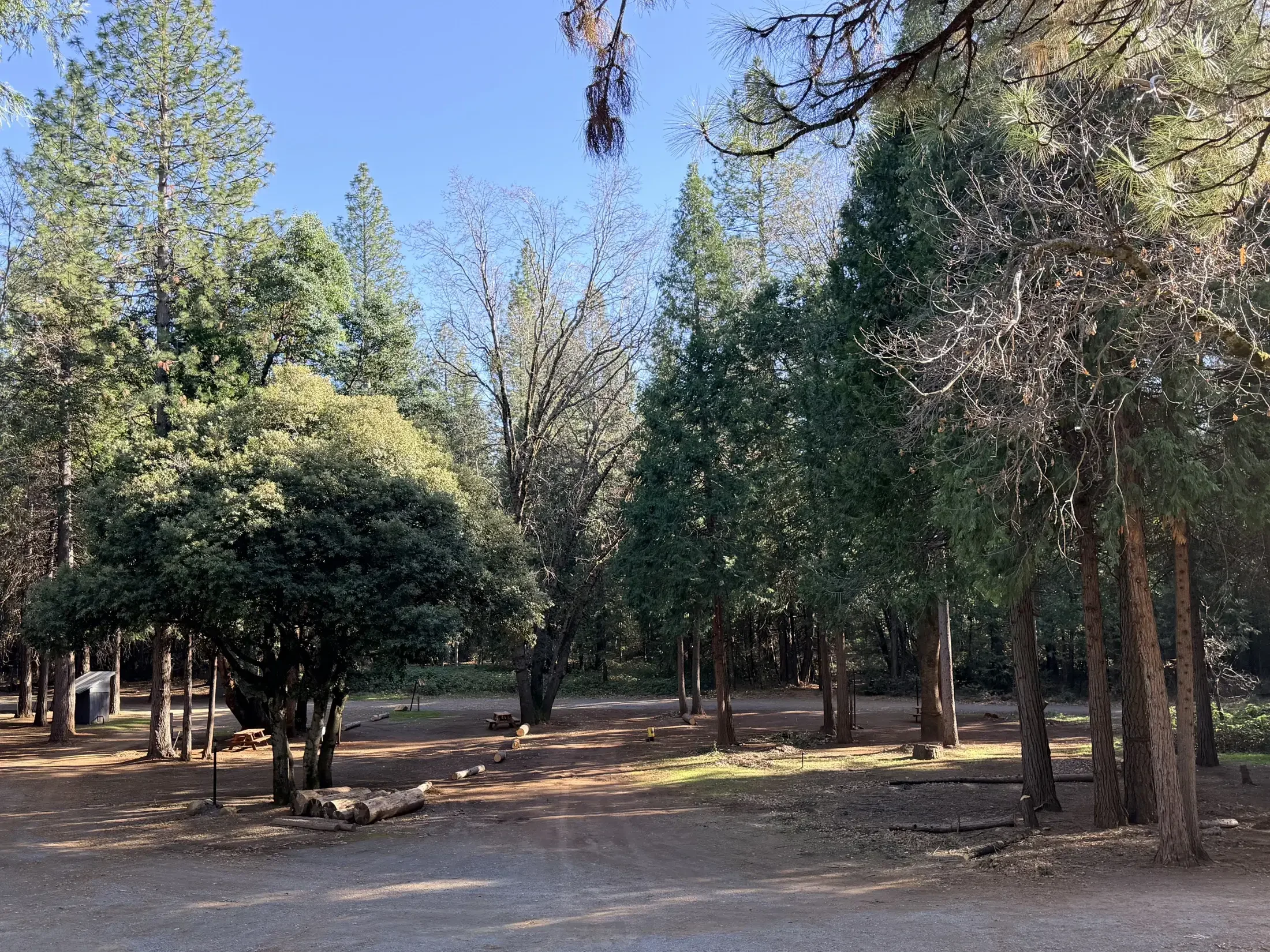 The wooded grounds at Fox Sparrow