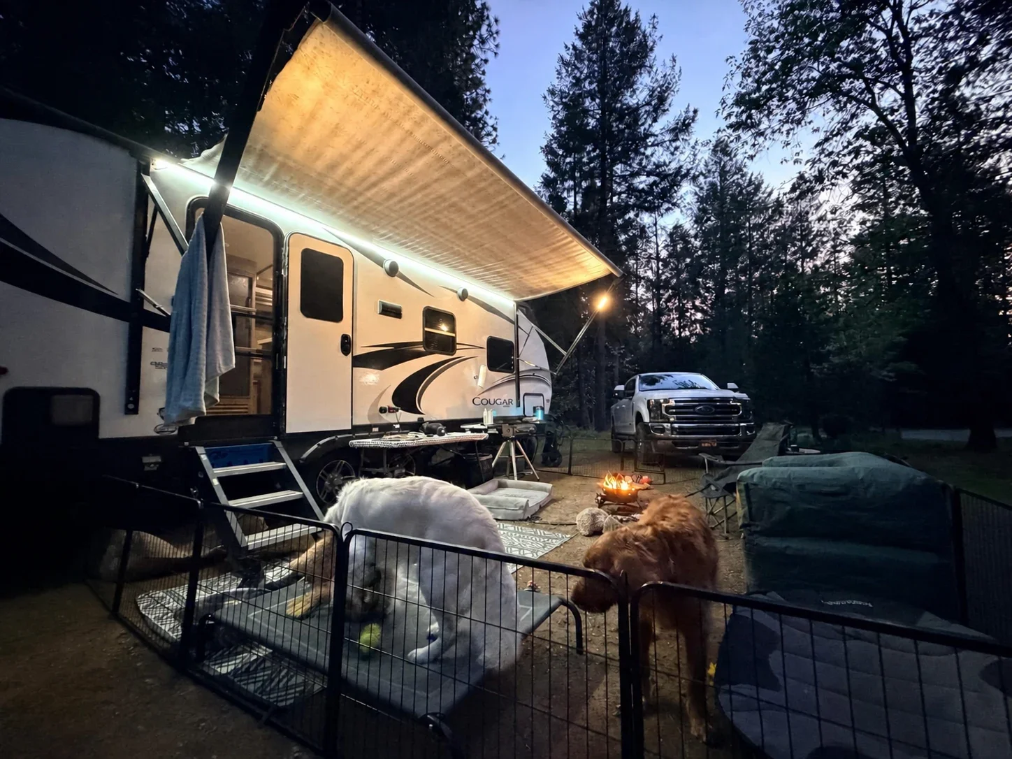 An inviting RV campsite beneath the pines