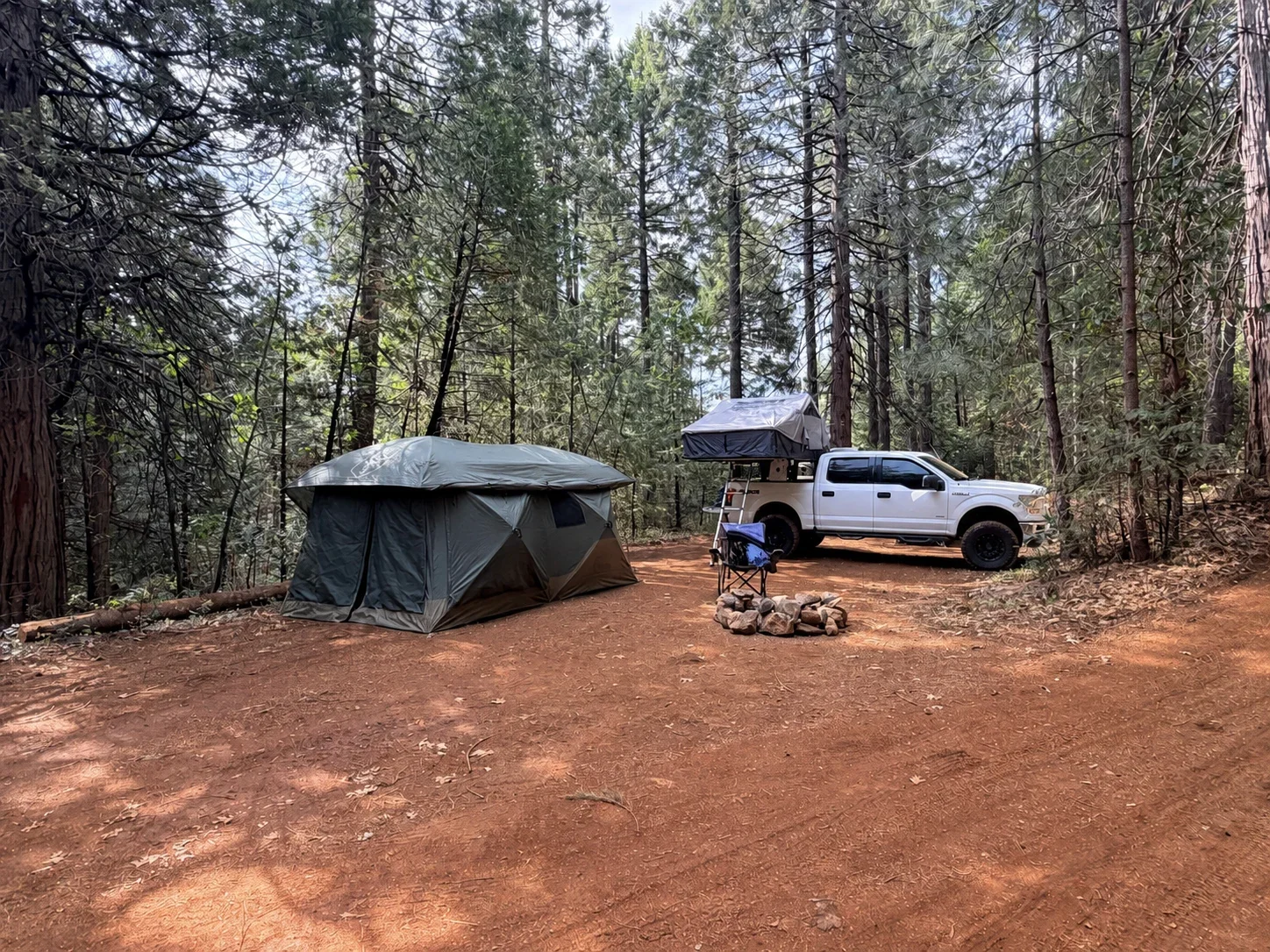 A spacious tent campsite beneath the pines