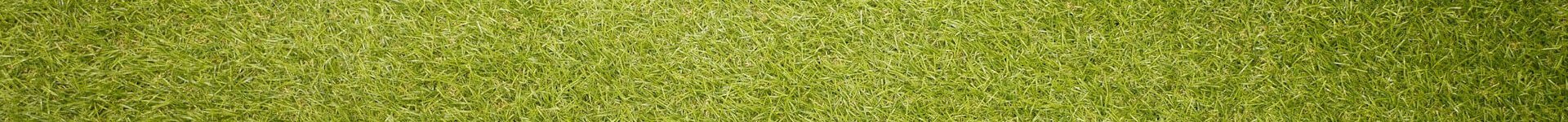 Grass Seed Preparation, Rough Cut Mowing in Franklin County