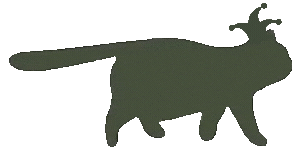 JesterCat walking