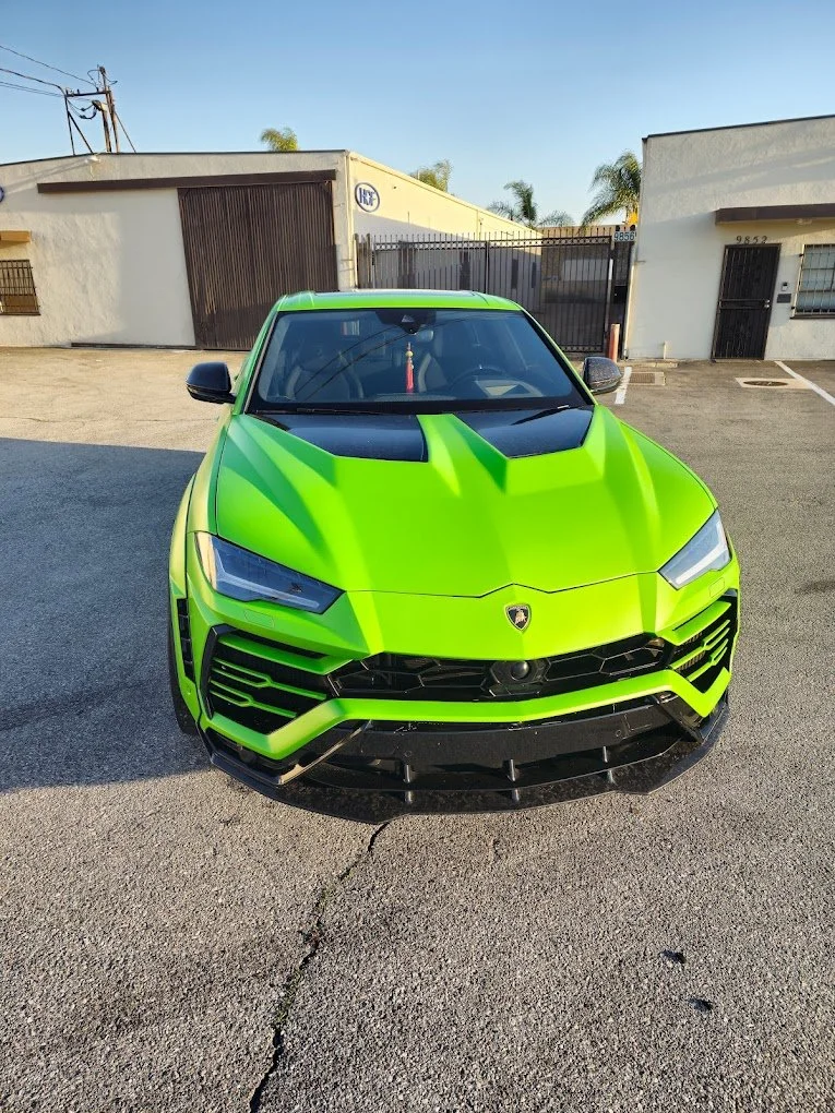 Exotic & Collector Care