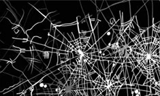 Dark Web Introduction for Investigators