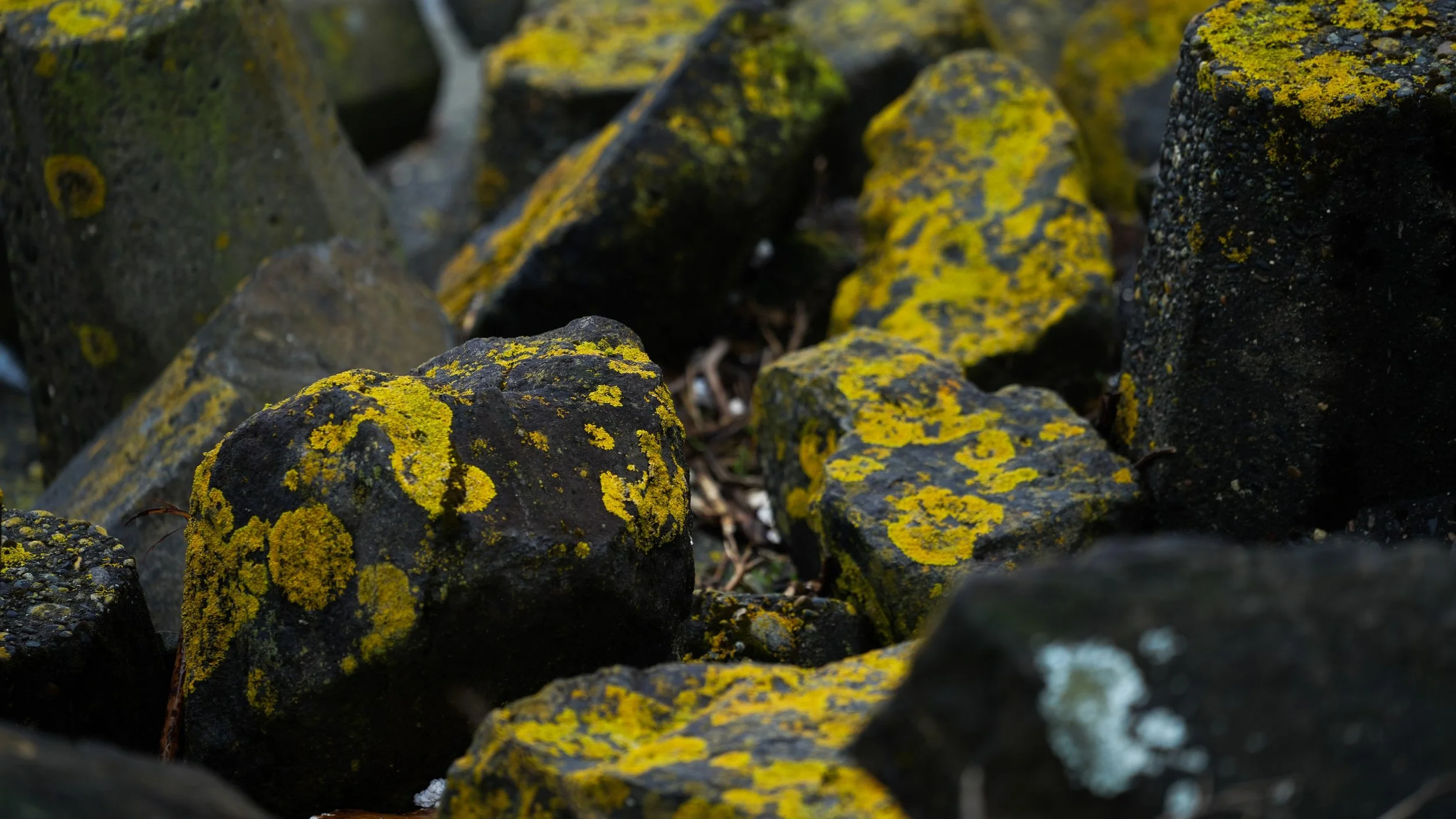 Kintsugi