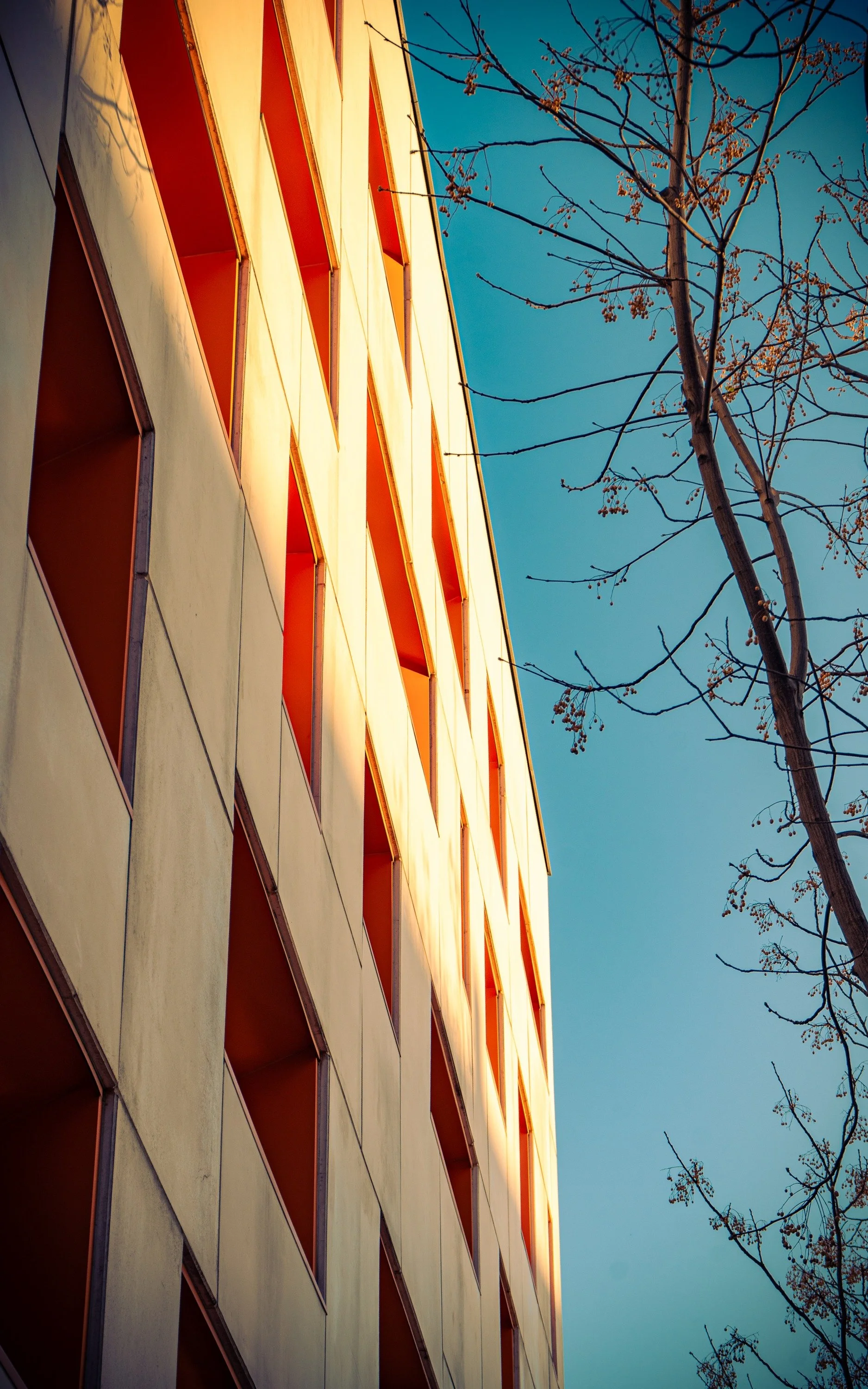 Pomar Vertical