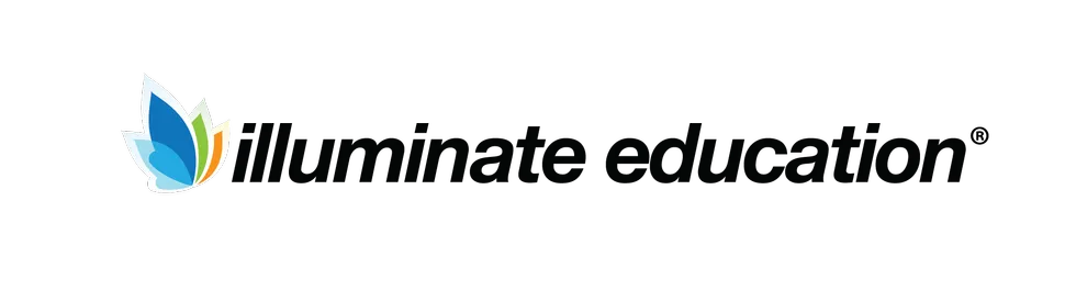IE logo