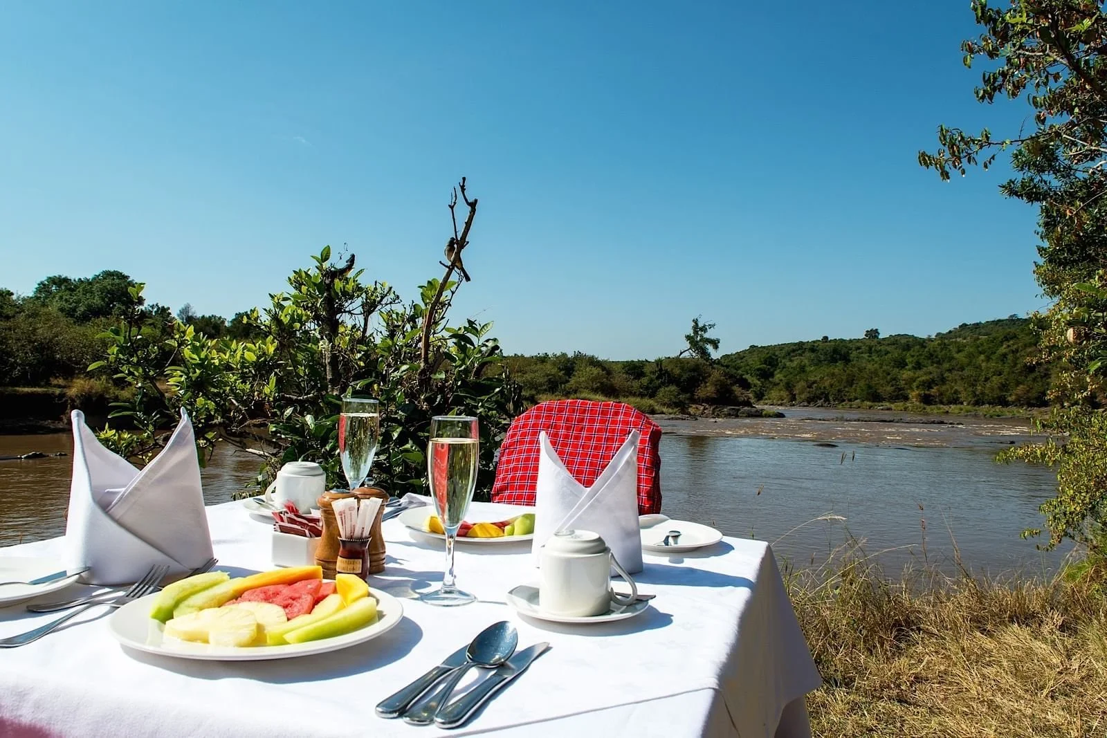 Pool and sun terrace overlooking the reserve
