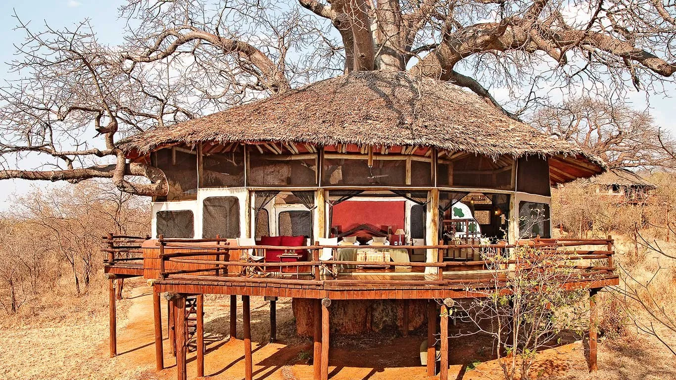 Elewana Tarangire Treetops Lodge hero image