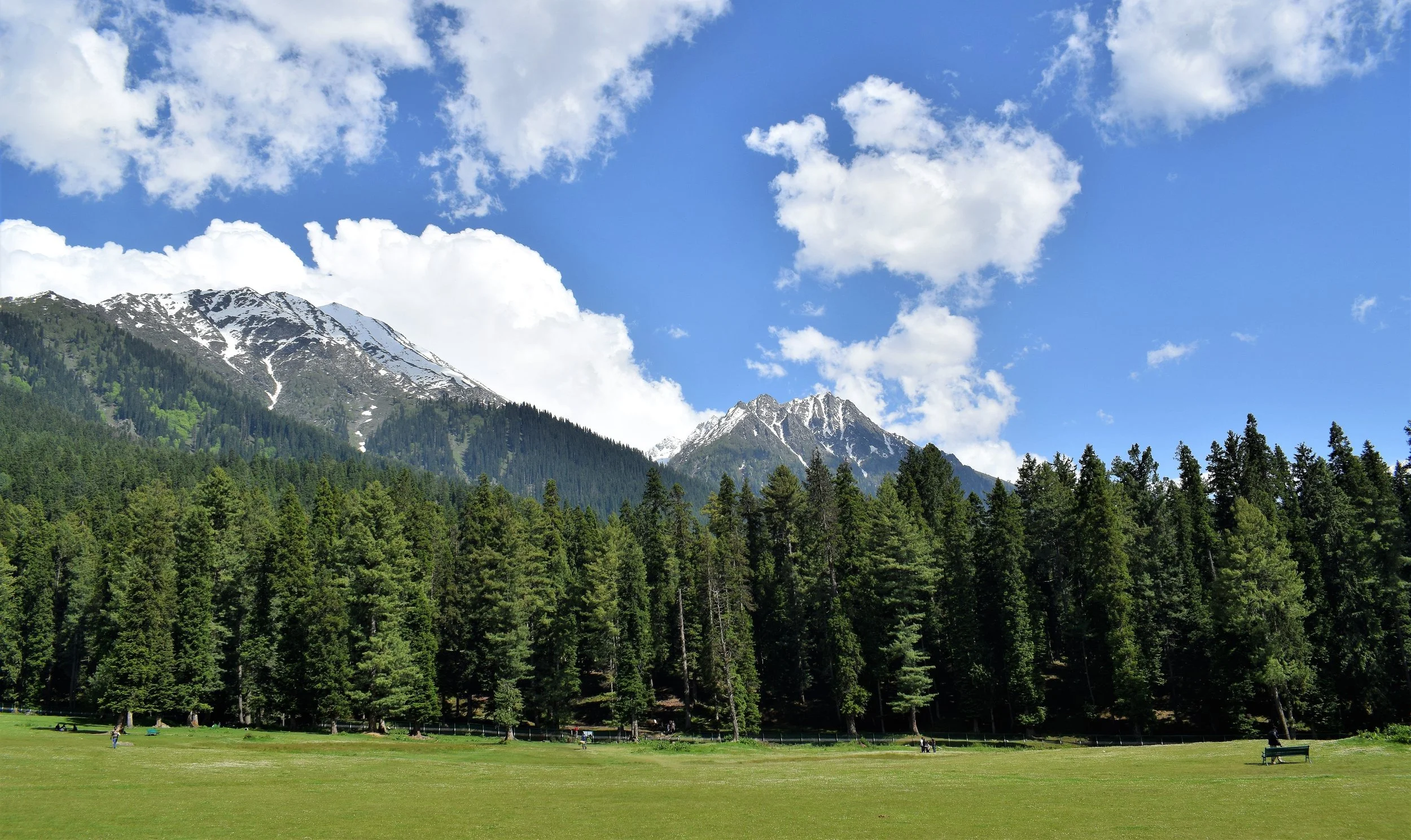 Snow-covered mountains above a grassy hillside beneath a cloudy sky