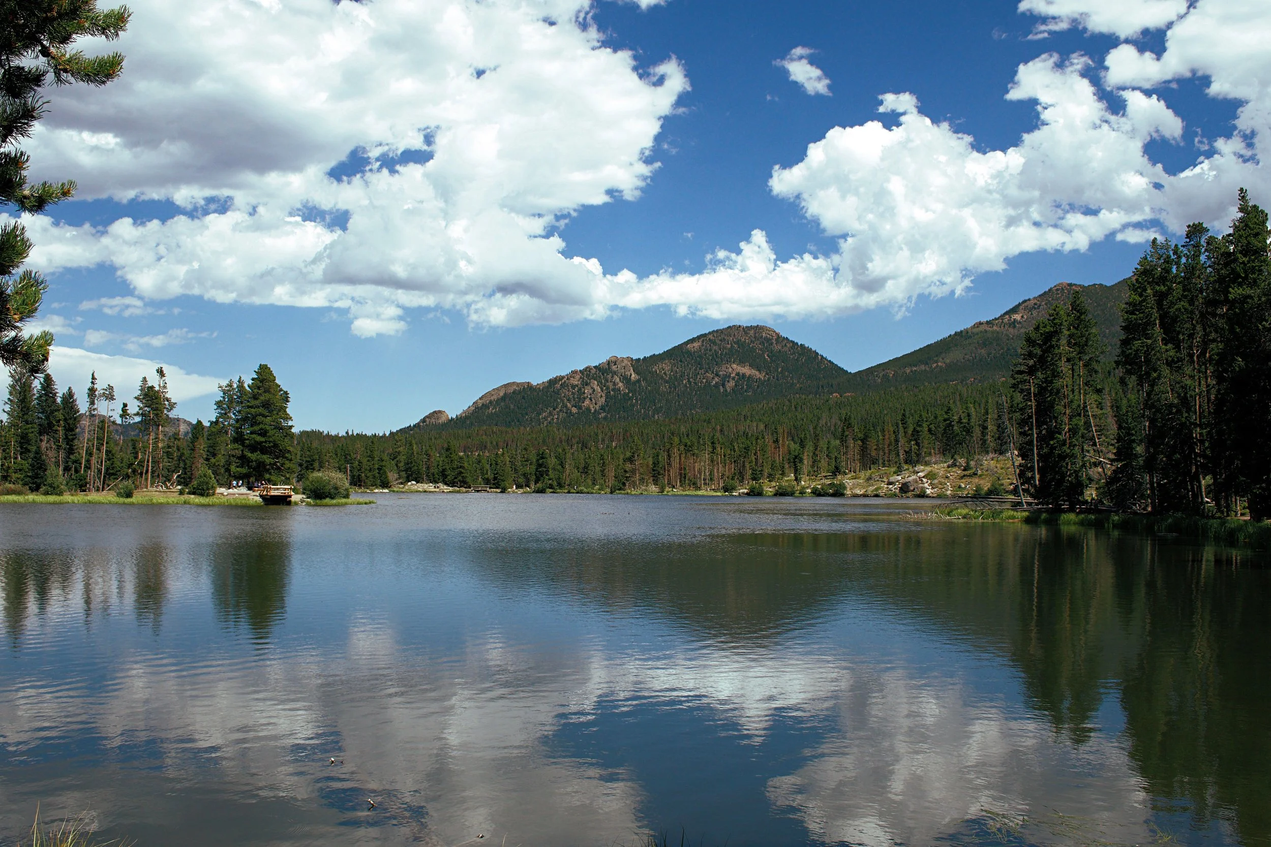 Peaceful mountain lake surrounded by trees beneath a cloudy sky