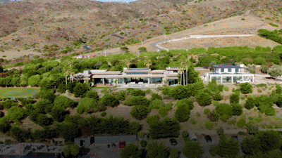 Reality TV for Brands?