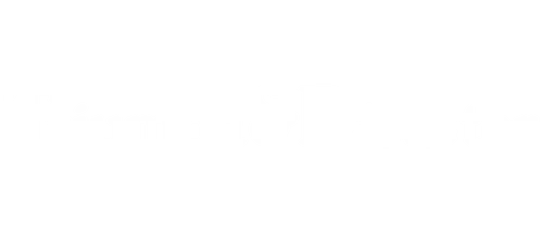 Triumph & Disaster Logo