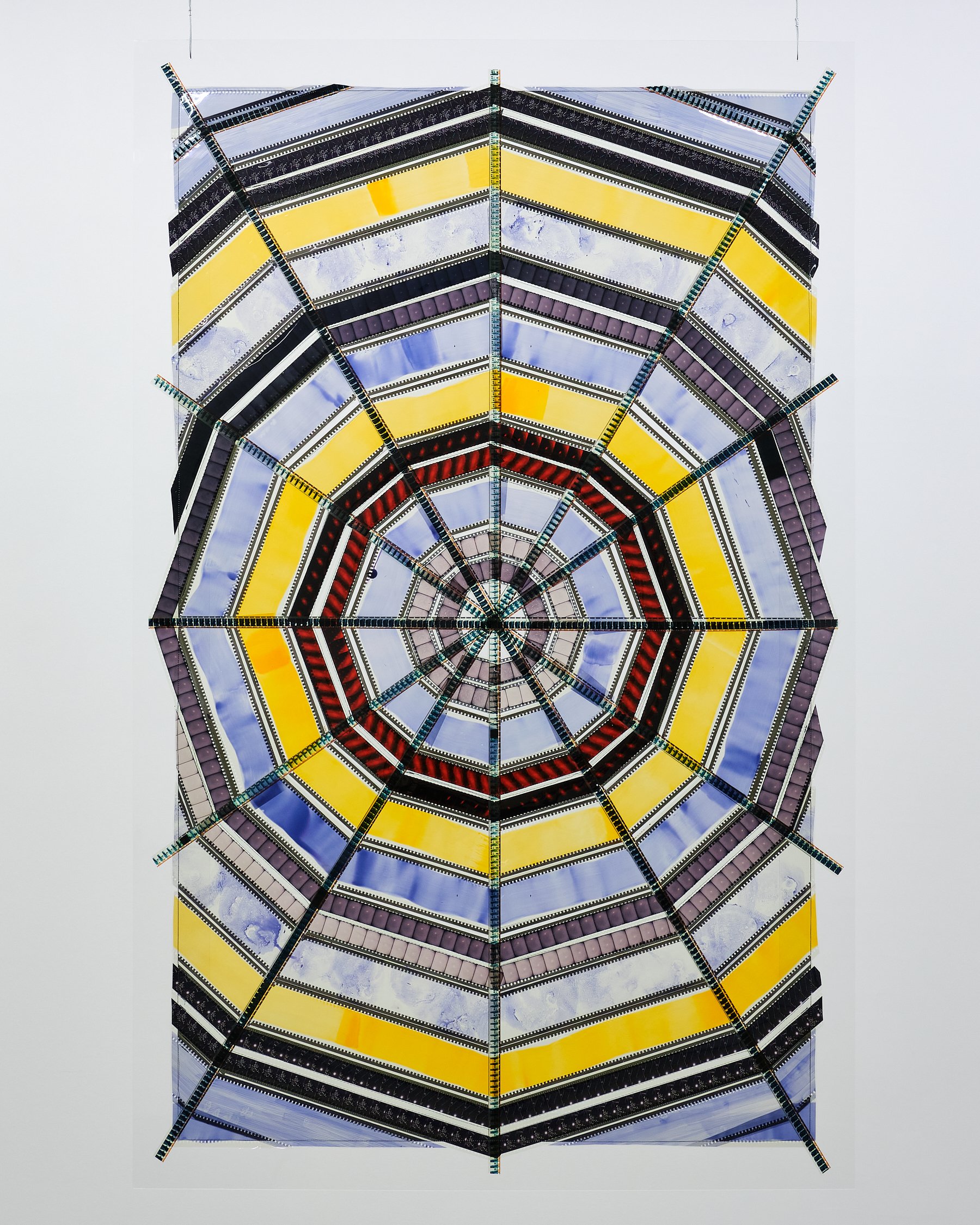 Solo Exhibitions — JENNIFER WEST