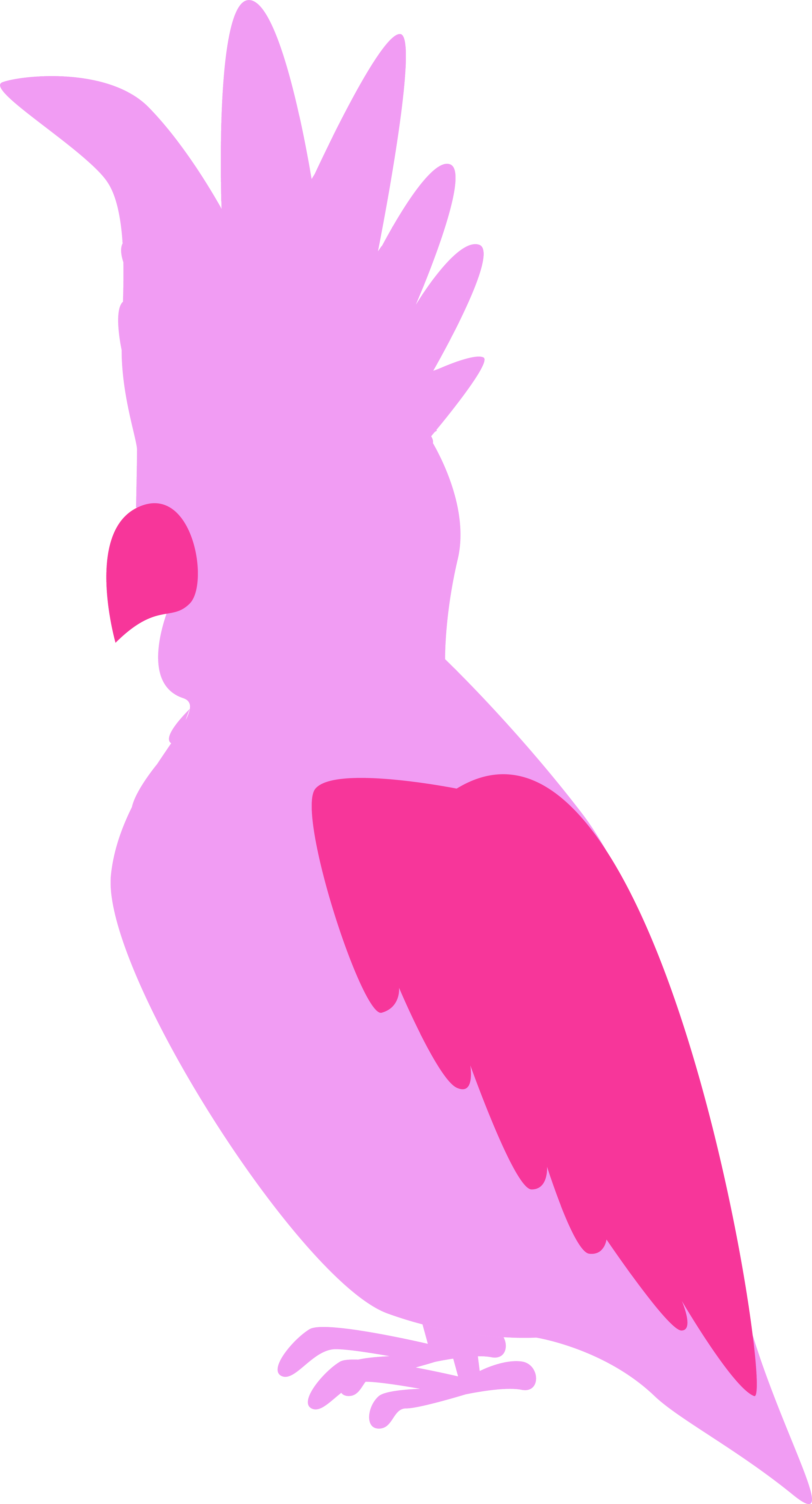 Cleo the Cockatoo