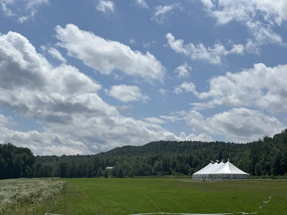 Tented wedding planned by Danielle McFarland