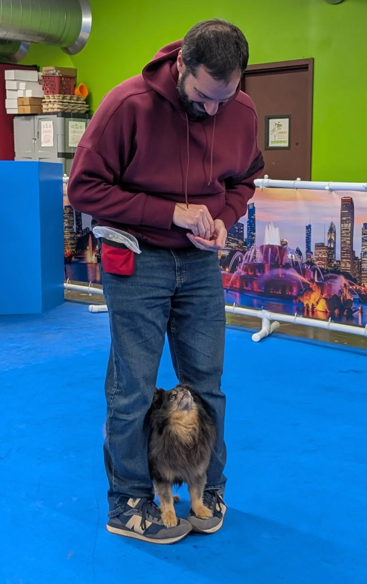 Handler cueing a dog during a freestyle dance class