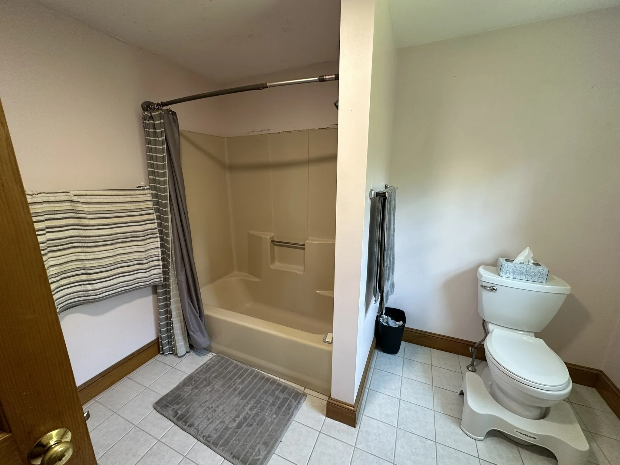 Bathroom before renovation with tub surround