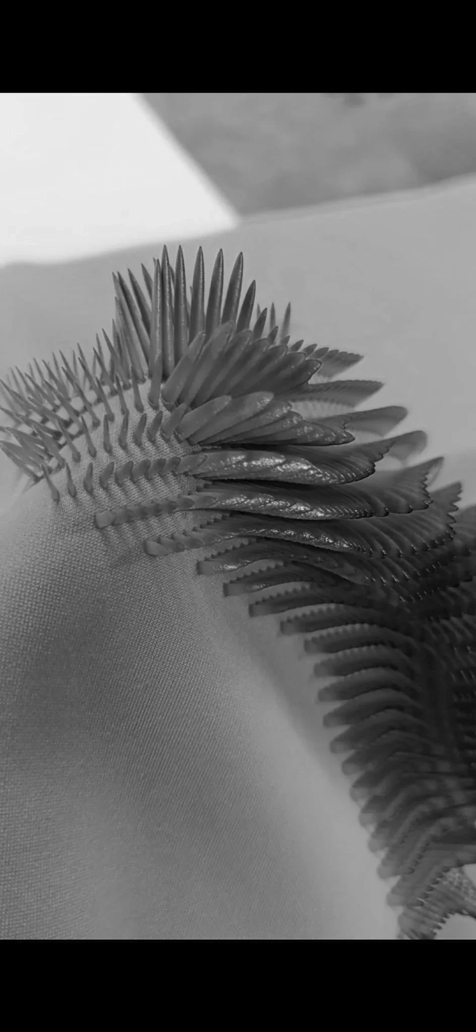 Surface in motion