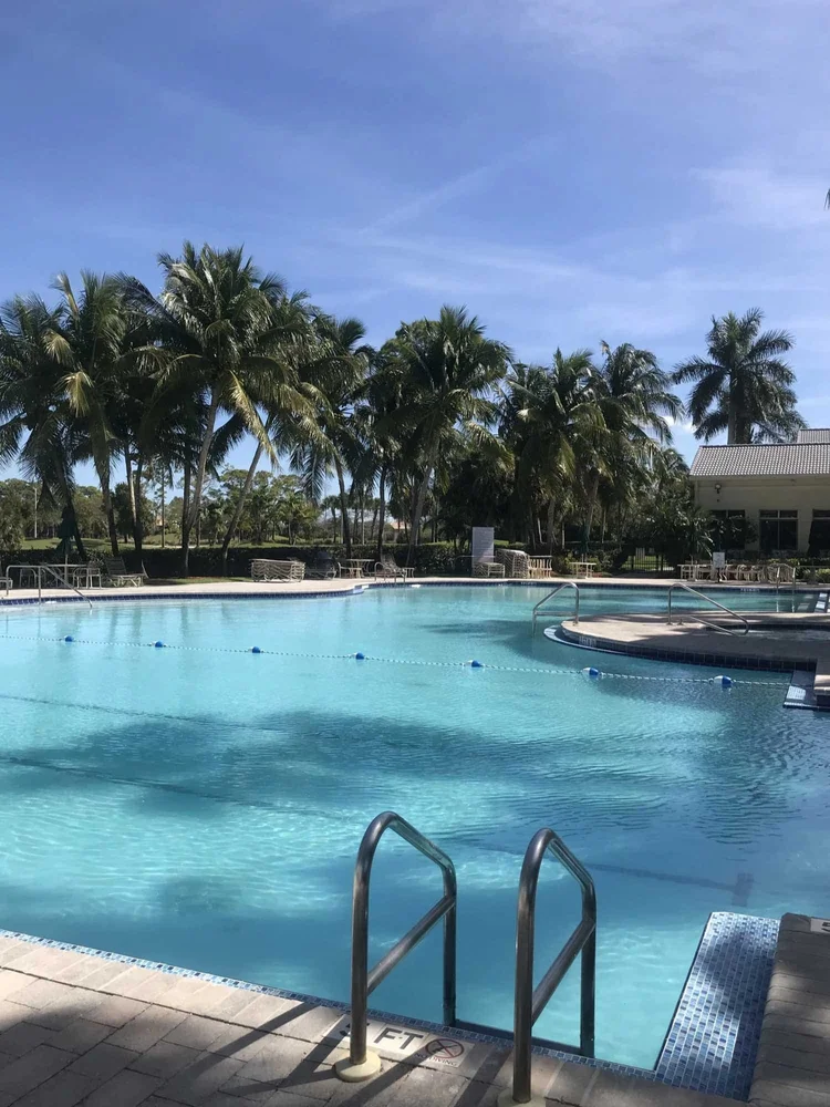 Blue outdoor swimming pool surrounded by palms