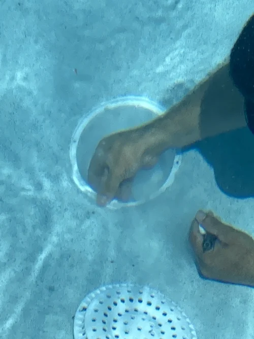 Technician inspecting a swimming pool fitting underwater during leak detection.