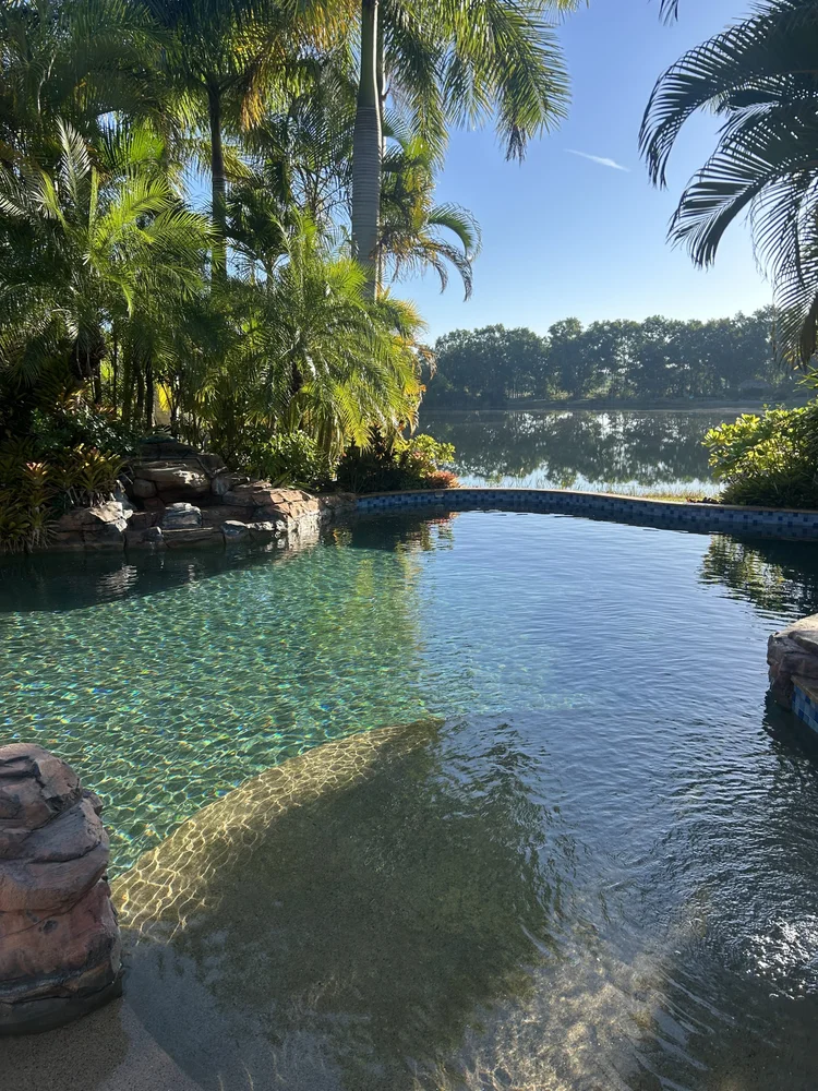 Jupiter Farms swimming pool surrounded by palms with a lake in the background.