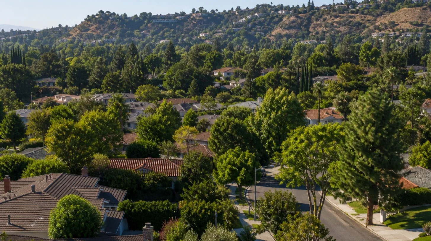 A long view across an established Encino residential area, level tree-lined streets in the foreground giving way to wooded ground rising behind.