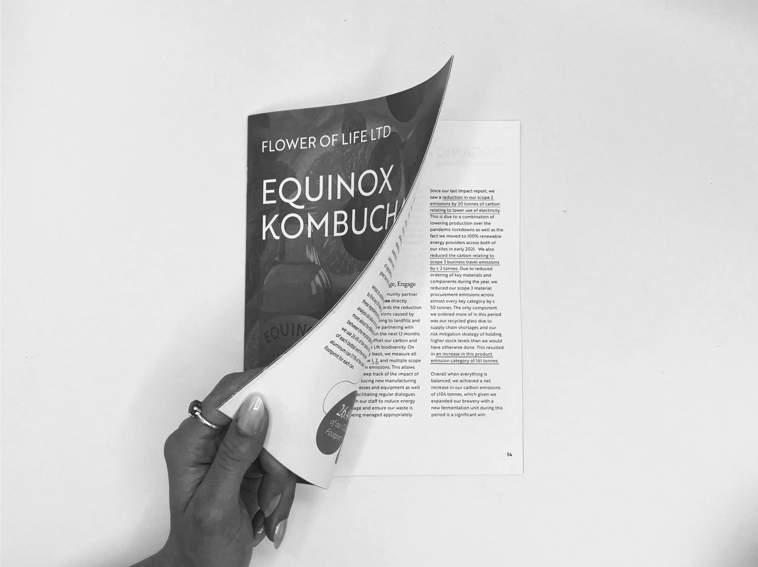 Equinox Kombucha