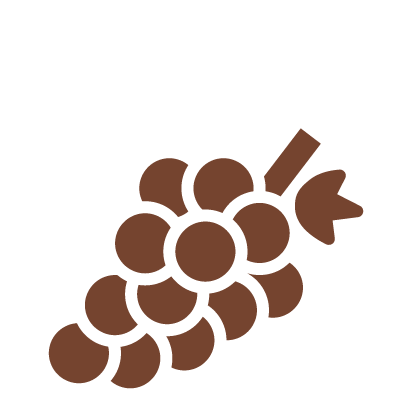 Grapes icon