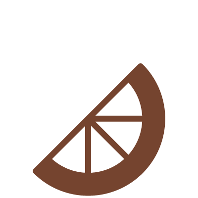 Orange slice icon