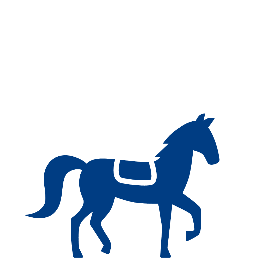 Bloomington horse icon